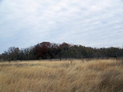 Undeveloped Land in Coleman County, Texas