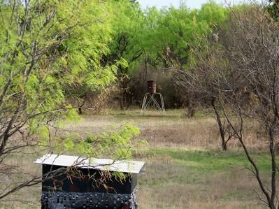 Farm and Ranch in Coleman County, Texas