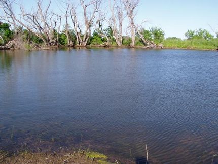 Farm and Ranch in Coleman County, Texas