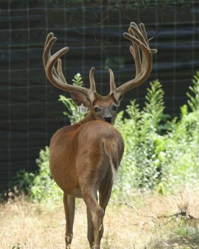 Recreational Property in Coleman County, Texas