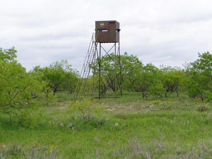 Farm and Ranch in Coleman County, Texas