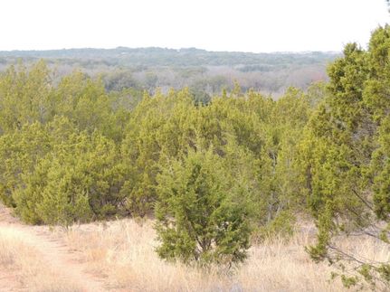 Farm and Ranch in Coleman County, Texas