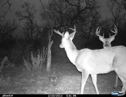 Farm and Ranch in Coleman County, Texas