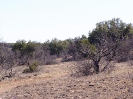 Farm and Ranch in Coleman County, Texas