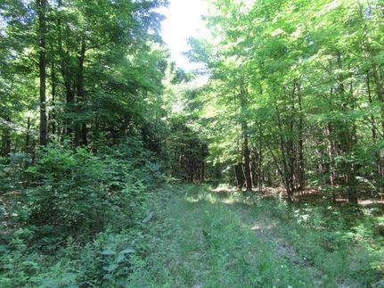 Commercial Property in Saint Lawrence County, New York