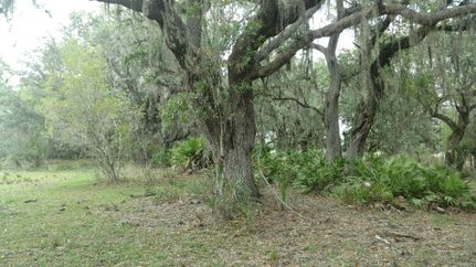 Recreational Property in Hardee County, Florida