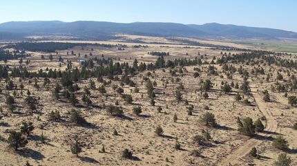 Timberland Property in Lassen County, California