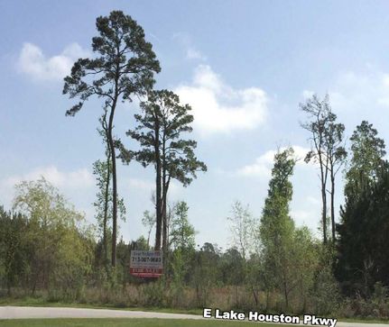Undeveloped Land in Harris County, Texas