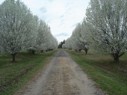Farm and Ranch in Greene County, Alabama