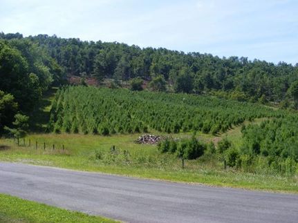 Farm and Ranch in Floyd County, Virginia