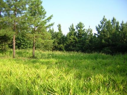 Farm and Ranch in Henry County, Virginia