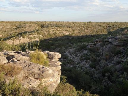 Undeveloped Land in Terrell County, Texas