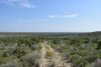 Timberland Property in Val Verde County, Texas