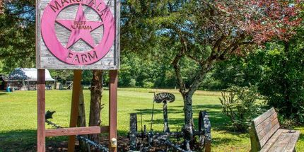 Timberland Property in Fayette County, Alabama