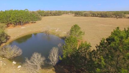 Land in Taylor County, Florida