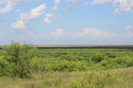 Timberland Property in Wichita County, Texas