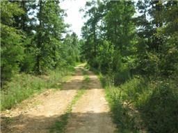 Undeveloped Land in Lewis County, Tennessee