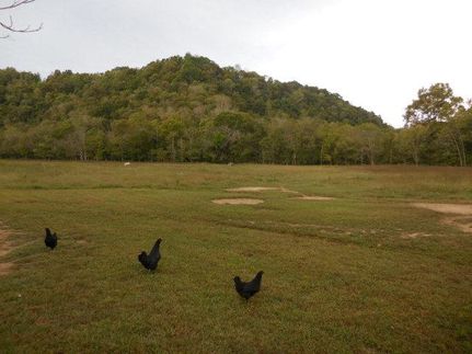 Land in Clay County, Tennessee