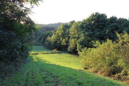 Farm and Ranch in Muskingum County, Ohio