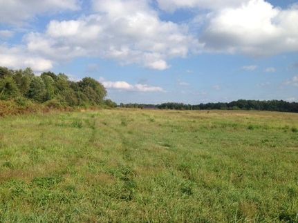 Farm and Ranch in Coffee County, Tennessee