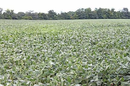 Farm and Ranch in Union County, Ohio