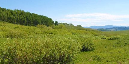 Recreational Property in Jackson County, Colorado