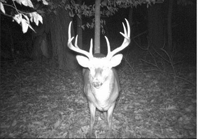 Land in Madison County, Alabama