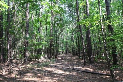 Farm and Ranch in Moore County, North Carolina