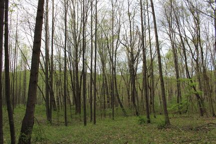 Commercial Property in Ross County, Ohio