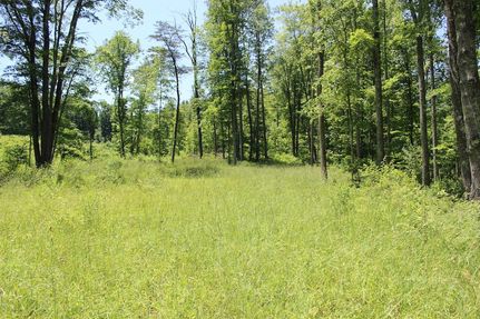 Hunting Property in Vinton County, Ohio
