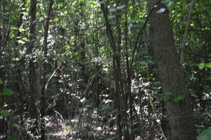 Farm and Ranch in Spartanburg County, South Carolina