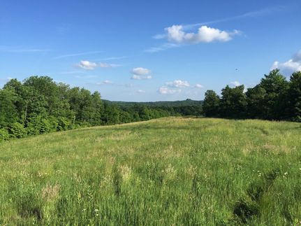 Timberland Property in Athens County, Ohio