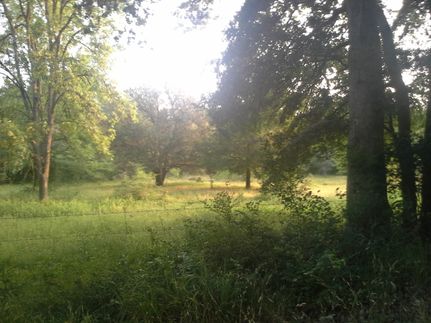 Farm and Ranch in Burleson County, Texas