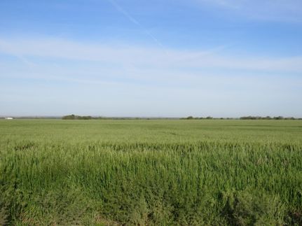 Farm and Ranch in Ottawa County, Kansas