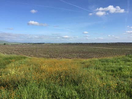 Farm and Ranch in Madera County, California