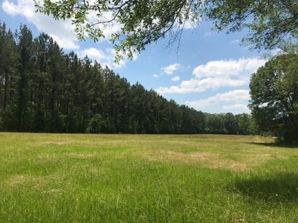 Recreational Property in Rankin County, Mississippi