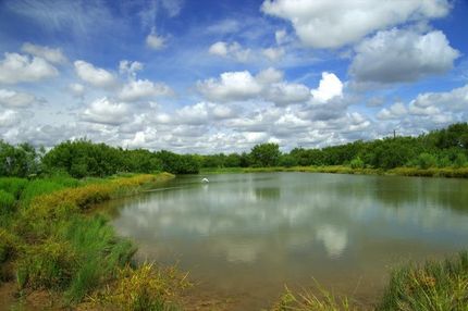 Farm and Ranch in Frio County, Texas