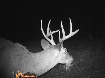Recreational Property in Pike County, Illinois