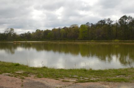 Farm and Ranch in Jefferson County, Alabama
