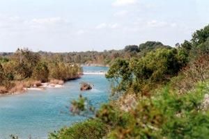 Timberland Property in Zavala County, Texas