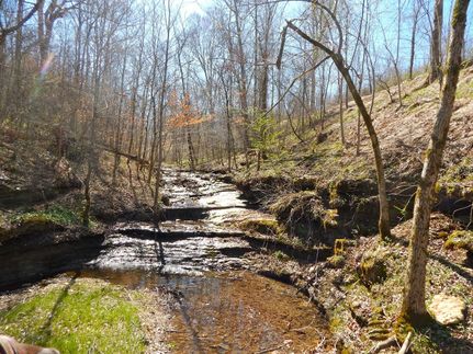 Farm and Ranch in Lawrence County, Tennessee