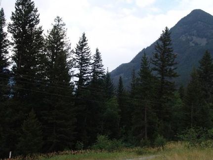Undeveloped Land in Park County, Montana