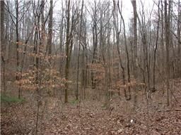Farm and Ranch in White County, Tennessee