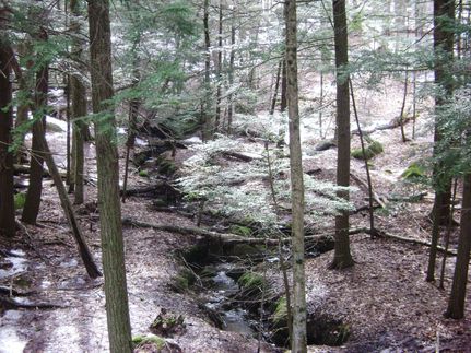 Land in Lewis County, New York