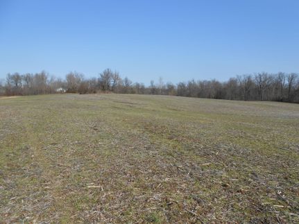 Farm and Ranch in Graves County, Kentucky