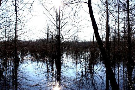 Farm and Ranch in Tippah County, Mississippi