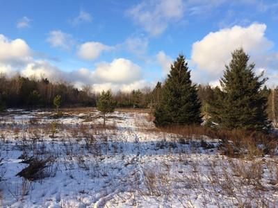 Farm and Ranch in Oneida County, New York