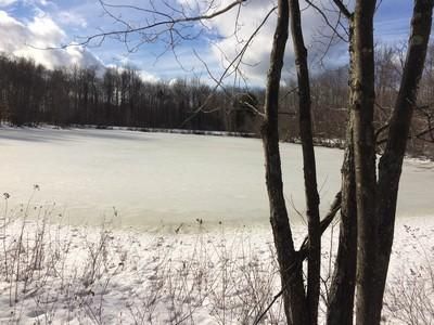 Homesite in Oneida County, New York