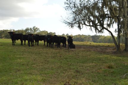 House in Gadsden County, Florida