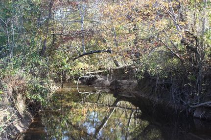 Farm and Ranch in Tippah County, Mississippi
